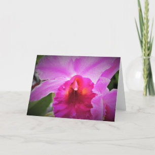 Orchid, card