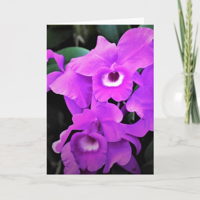 Orchid, card (Front)