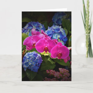 Orchid, card