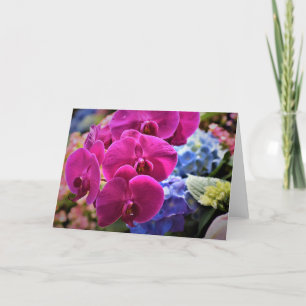 Orchid, card
