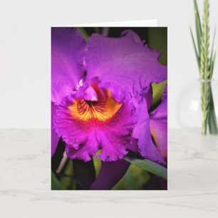 Orchid, card