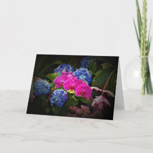 Orchid, card