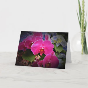 Orchid, card