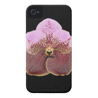 Orchid Cell Phone Case, iPhone 4 Case-Mate Case