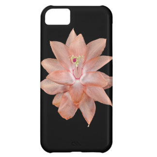 Orchid Cell Phone Case iPhone 5C