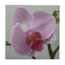 Orchid Ceramic Tile
