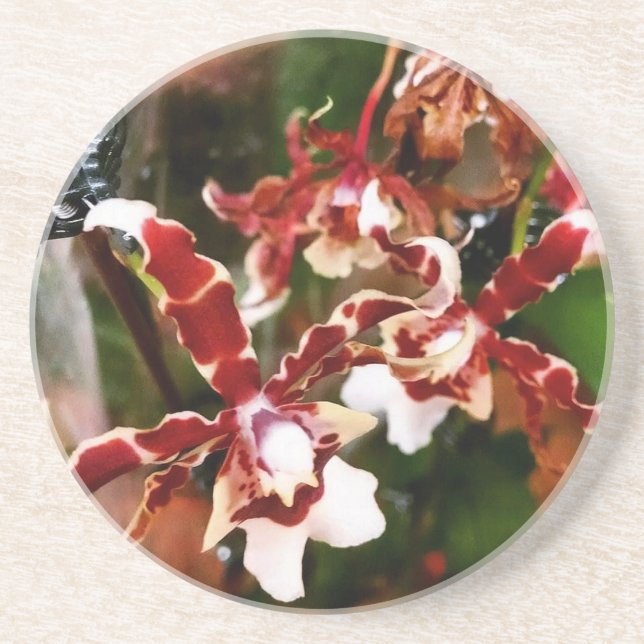 Orchid Coaster (Front)