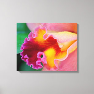 Orchid Colours Canvas Print