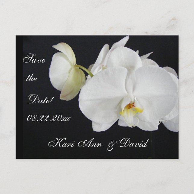 Orchid Dream Announcement Postcard (Front)