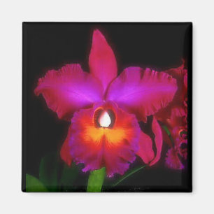 Orchid Dream Magnet