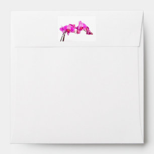 Orchid Envelope
