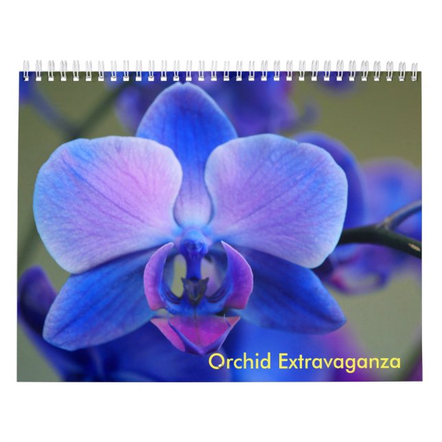 Orchid Extravaganza Calendar (Cover)