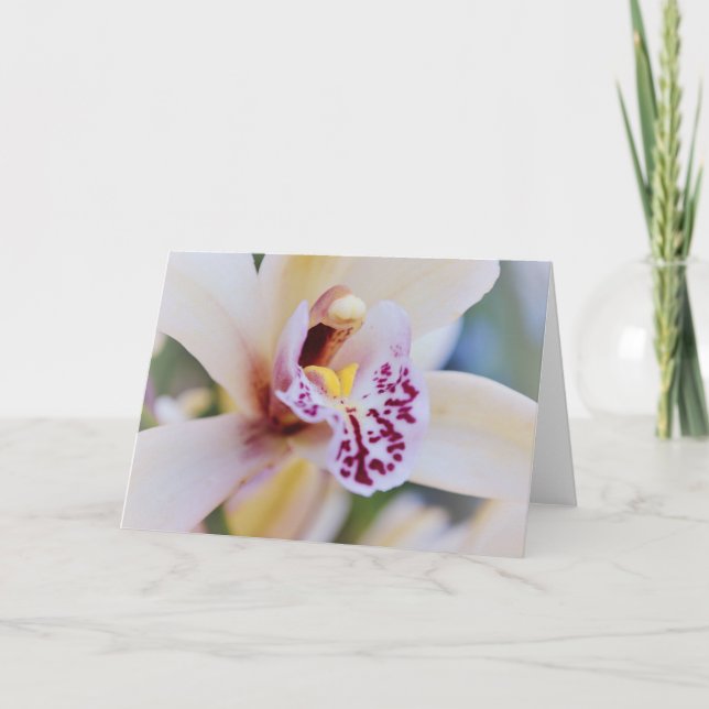 Orchid Flower Close Up Art Note Card  (Front)