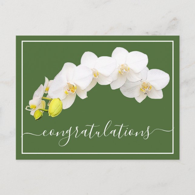 Orchid Flower Green Background Congratulations Postcard (Front)