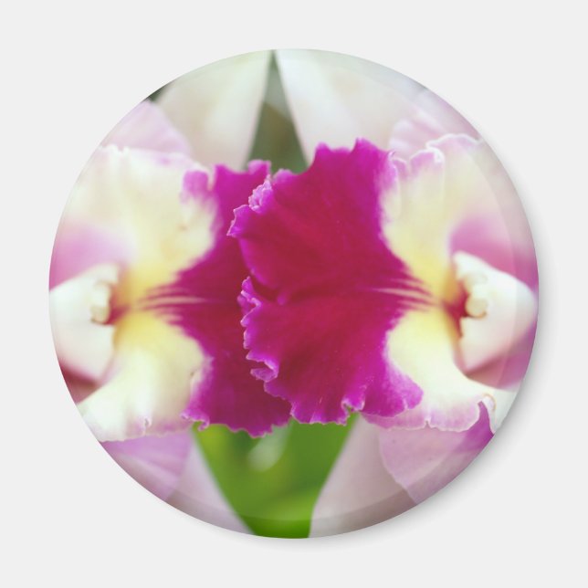 Orchid Flower Magnet (Front)