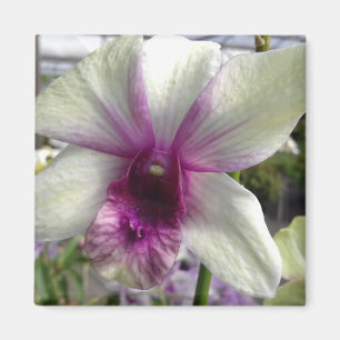 Orchid Flower Magnet