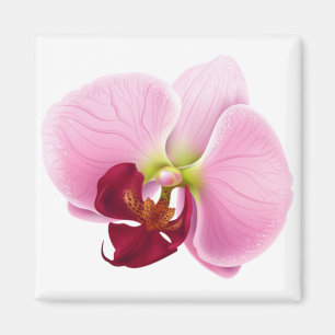 orchid flower magnet