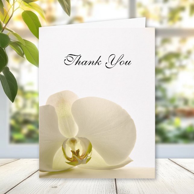 Orchid Flower on White Funeral Sympathy Thank You (Creator Uploaded)