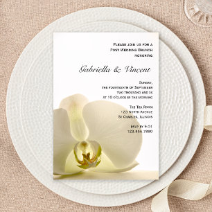 Orchid Flower on White Post Wedding Brunch Invitation