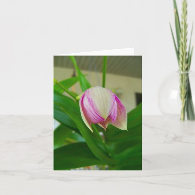 Orchid flower opens on a blank note card (Front)