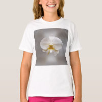 Orchid flower