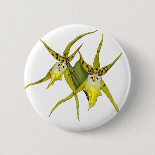 Orchid Flowers 6 Cm Round Badge
