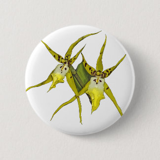 Orchid Flowers 6 Cm Round Badge