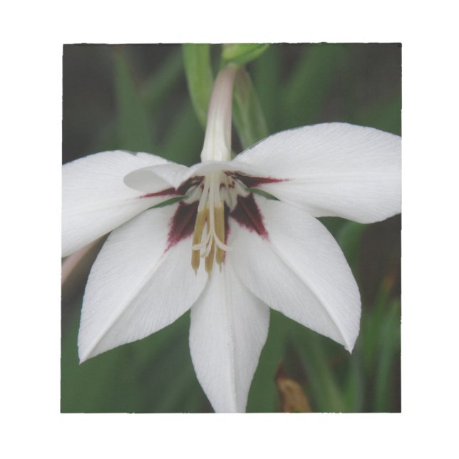 Orchid Flowers Notepad (Front)