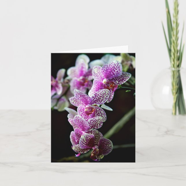 Orchid Flowers Photo Note Card (Front)