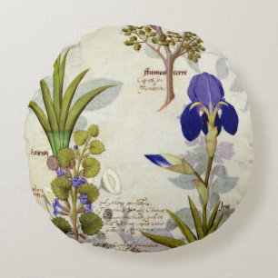 Orchid & Fumitory or Bleeding Heart Hedera & Iris Round Cushion