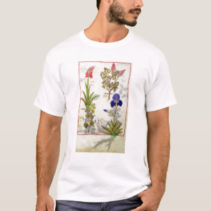 Orchid & Fumitory or Bleeding Heart Hedera & Iris T-Shirt