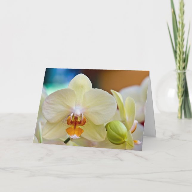 Orchid • Greeting Card (Front)