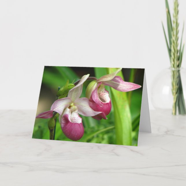 Orchid Greeting Card (Front)