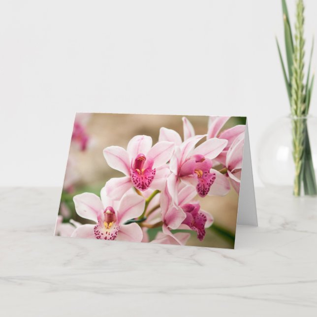 Orchid Greeting Card (Front)