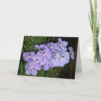 Orchid Greetings Card