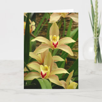 Orchid Greetings Card