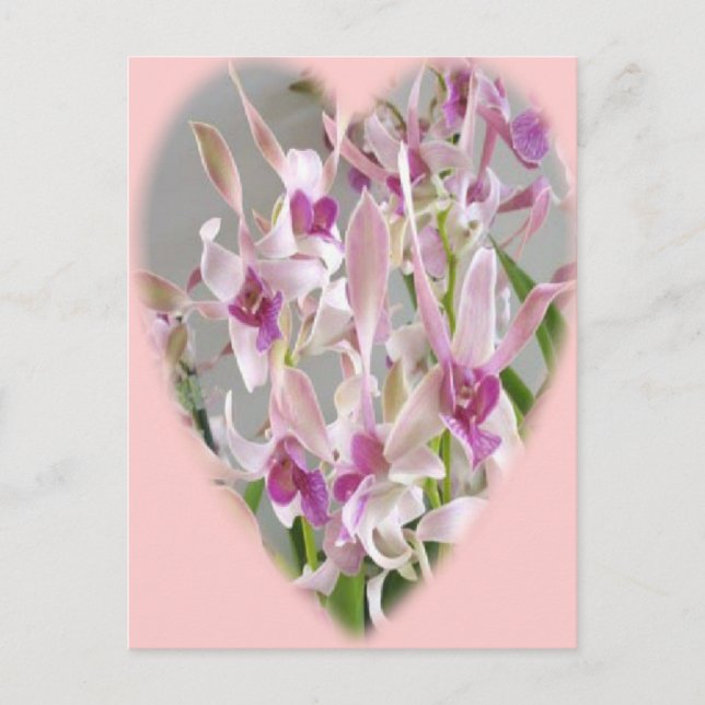 orchid-heart postcard (Front)