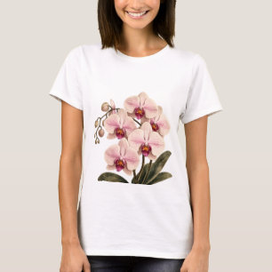 orchid in bloom tshirt