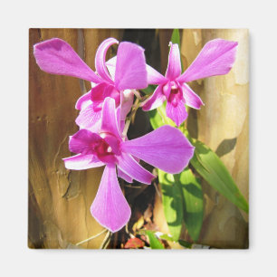 Orchid in Crepe Myrtle Tree Magnet