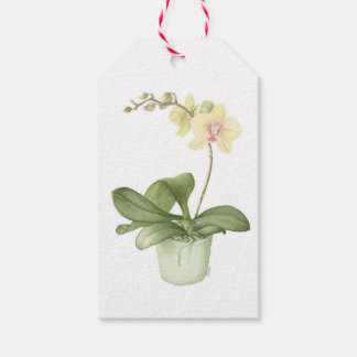 Orchid in Green Pot Botanical Watercolour Gift Tags