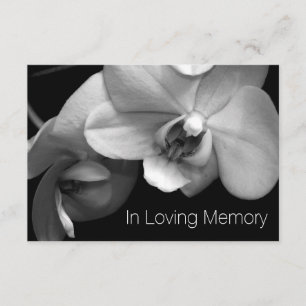 Orchid In Loving Memory 1 Celebration of Life Invitation