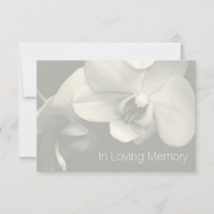 Orchid In Loving Memory 6 Celebration of Life Invitation