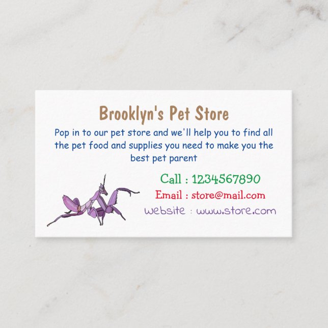 Orchid mantis cartoon illustration business card (Front)