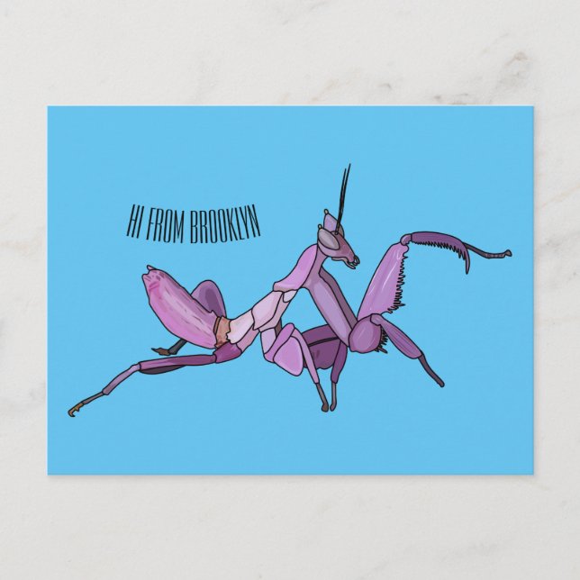 Orchid mantis cartoon illustration postcard (Front)