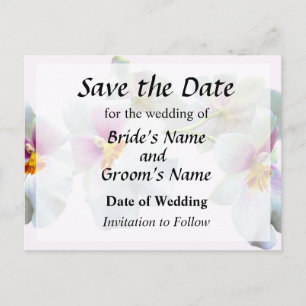 Orchid Miltoniopsis Florentine Save the Date Announcement Postcard