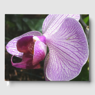 Orchid: Mind Edition Guest Book