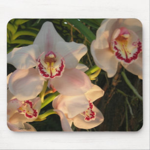 Orchid Mouse Pad