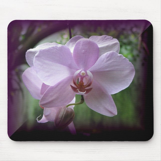 Orchid Mouse Pad (Front)