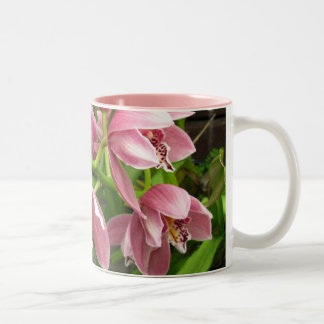 Orchid Mug 7