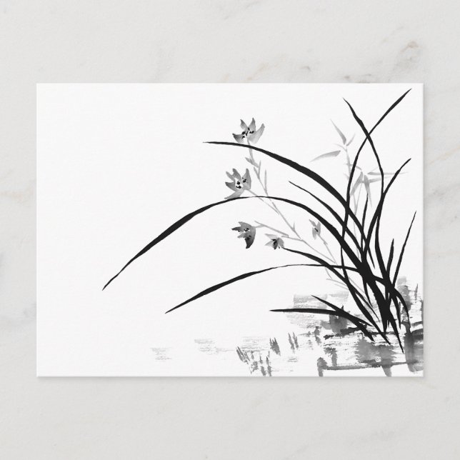 Orchid Nobility Postcard (Front)